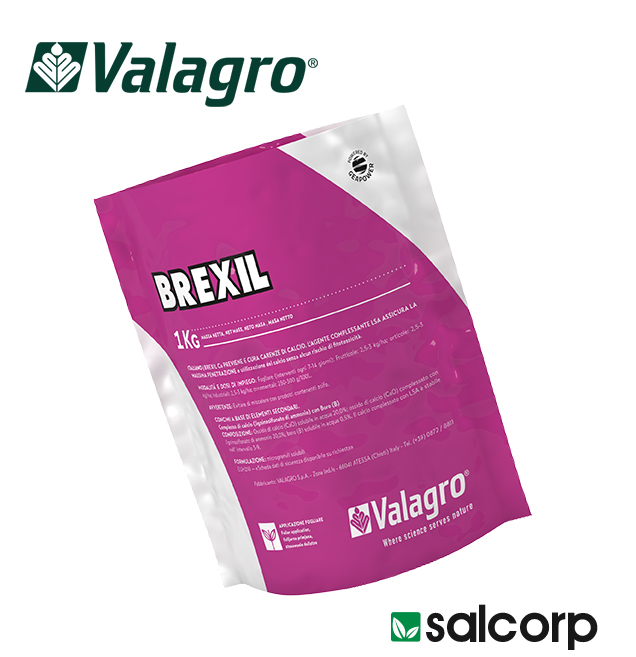 MOLBOR 5/1